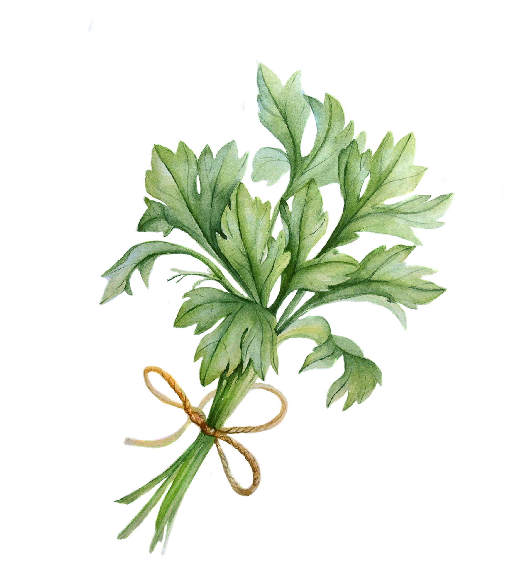 Decorative spice